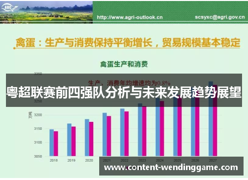 粤超联赛前四强队分析与未来发展趋势展望