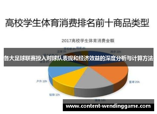 各大足球联赛投入对球队表现和经济效益的深度分析与计算方法