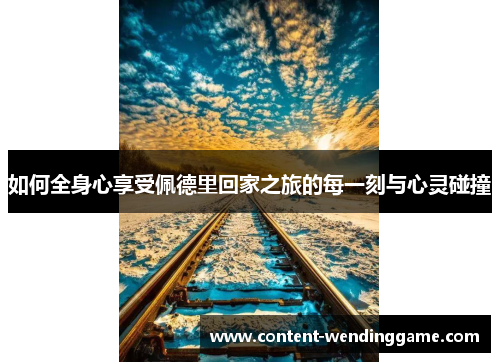 如何全身心享受佩德里回家之旅的每一刻与心灵碰撞