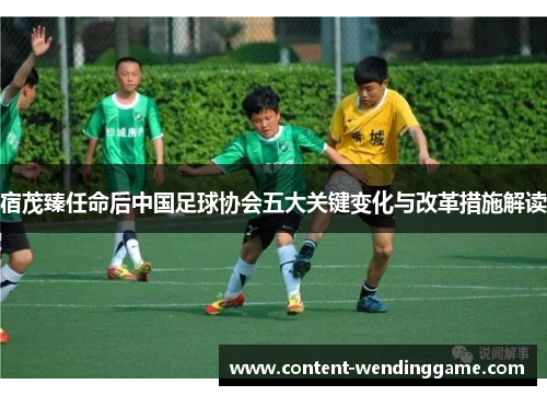 宿茂臻任命后中国足球协会五大关键变化与改革措施解读