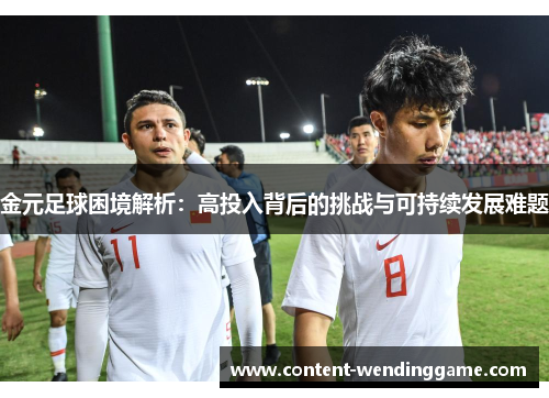 金元足球困境解析：高投入背后的挑战与可持续发展难题