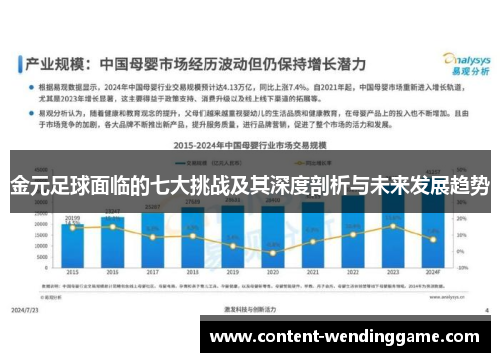 金元足球面临的七大挑战及其深度剖析与未来发展趋势