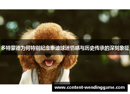 多特蒙德为何特别纪念泰迪球迷情感与历史传承的深刻象征