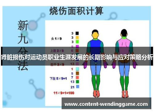 肾脏损伤对运动员职业生涯发展的长期影响与应对策略分析
