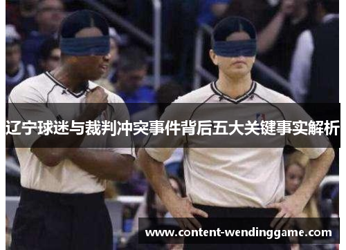 辽宁球迷与裁判冲突事件背后五大关键事实解析