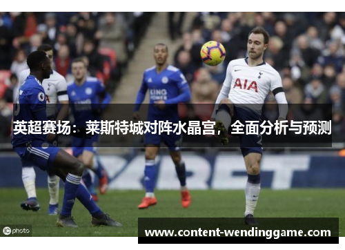 英超赛场：莱斯特城对阵水晶宫，全面分析与预测