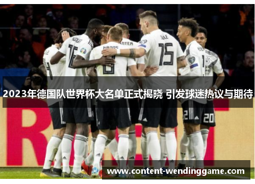 2023年德国队世界杯大名单正式揭晓 引发球迷热议与期待