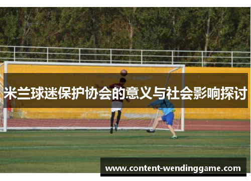 米兰球迷保护协会的意义与社会影响探讨