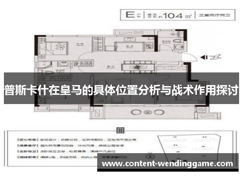 普斯卡什在皇马的具体位置分析与战术作用探讨