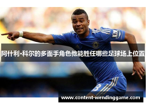 阿什利·科尔的多面手角色他能胜任哪些足球场上位置