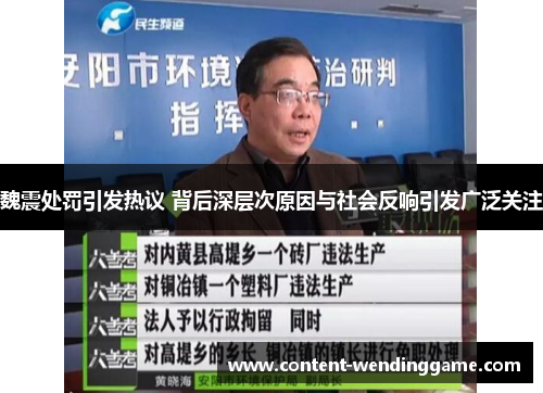魏震处罚引发热议 背后深层次原因与社会反响引发广泛关注