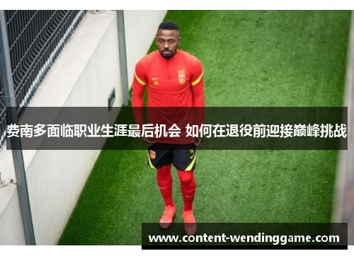 费南多面临职业生涯最后机会 如何在退役前迎接巅峰挑战