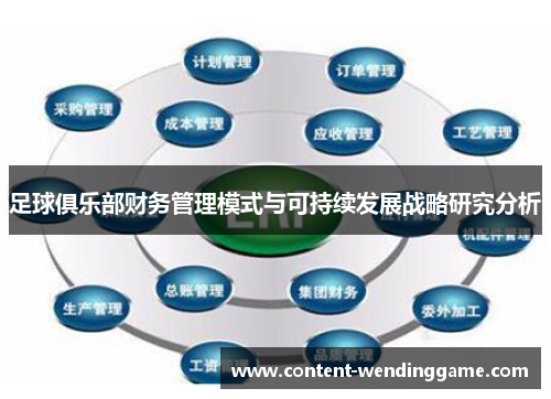 足球俱乐部财务管理模式与可持续发展战略研究分析 足球俱乐部财务管理模式与可持续发展战略研究分析