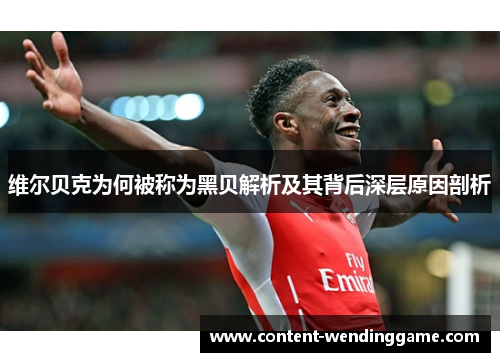 维尔贝克为何被称为黑贝解析及其背后深层原因剖析
