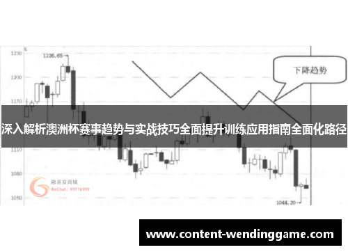 深入解析澳洲杯赛事趋势与实战技巧全面提升训练应用指南全面化路径 深入解析澳洲杯赛事趋势与实战技巧全面提升训练应用指南全面化路径