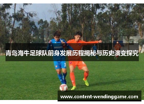 青岛海牛足球队前身发展历程揭秘与历史演变探究
