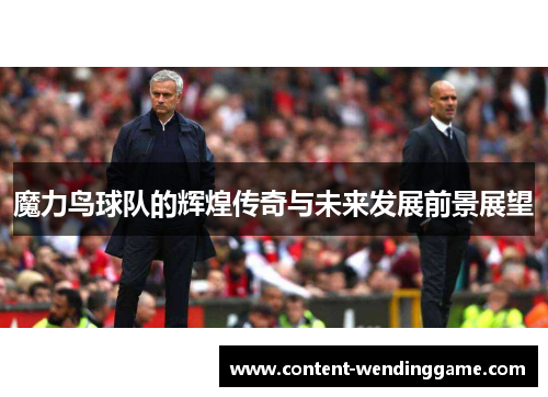 魔力鸟球队的辉煌传奇与未来发展前景展望