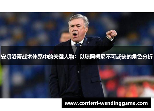 安切洛蒂战术体系中的关键人物:以琼阿梅尼不可或缺的角色分析 安切洛蒂战术体系中的关键人物:以琼阿梅尼不可或缺的角色分析