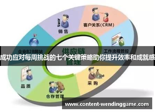 成功应对每周挑战的七个关键策略助你提升效率和成就感