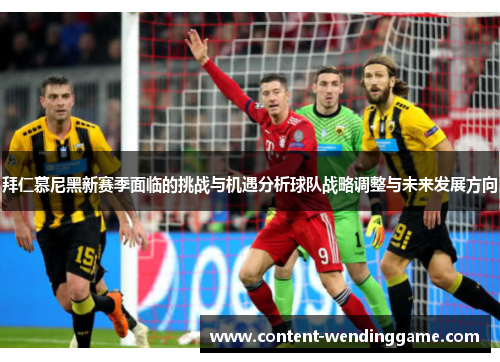 拜仁慕尼黑新赛季面临的挑战与机遇分析球队战略调整与未来发展方向