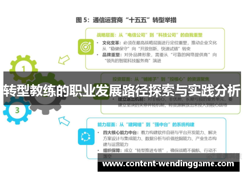 转型教练的职业发展路径探索与实践分析